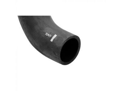 Ford F4ZZ-8286-A Lower Hose