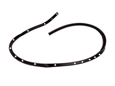 Ford FR3Z-16740-A Rear Seal