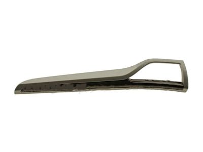 Ford DS7Z-5404338-BB Trim Molding