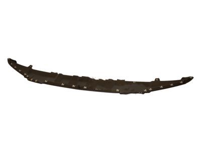 Ford HL3Z-17626-AA Valance Panel