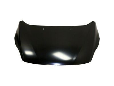 Ford Hood - AM5Z-16612-A