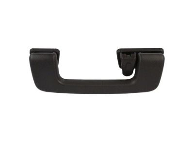 Lincoln 8A5Z-5431407-BA Grip Handle