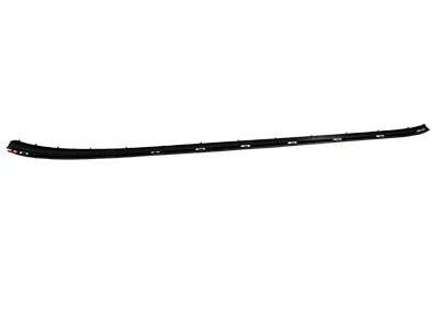 Ford BM5Z-5803179-A Pillar Molding Retainer Strip