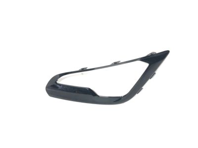 Ford GN1Z-15266-BD Lamp Bezel