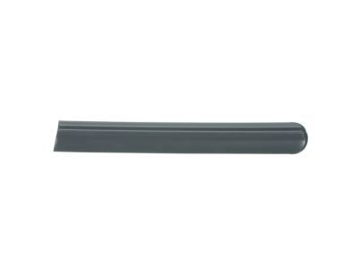 Ford XL3Z-1825533-APTM Body Side Molding