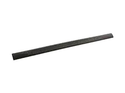 Ford 8S4Z-6313209-AB Sill Plate