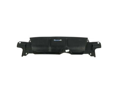 Ford 4C2Z-19E667-AA Lower Deflector