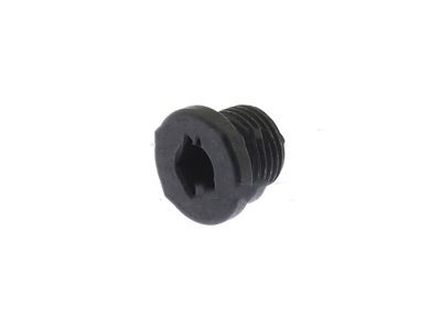 Ford -W701065-S303 Plug