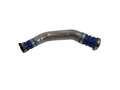 Ford AA5Z-6C646-D Lower Hose