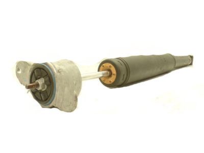 Ford CV6Z-18125-M Shock Absorber Assy