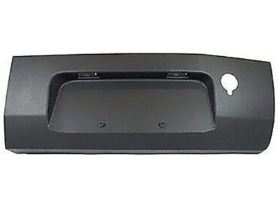 Ford CK4Z-99425B28-BA Lower Molding