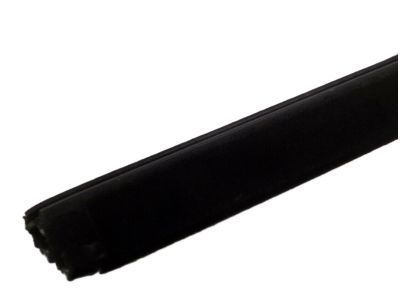 Lincoln 2L1Z-7821456-AA Belt Weatherstrip