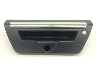 Ford F-150 Tailgate Handle - JL3Z-9943400-MAPTM