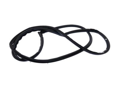 Ford CE8Z-5420530-C Door Weatherstrip