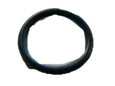 Ford 1W1Z-19E889-GA "O" Ring                           