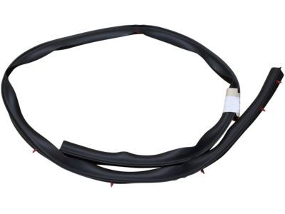 Mercury 8L2Z-78253A44-A Lower Seal Strip