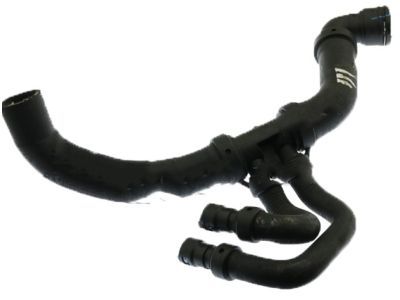 Ford BL3Z-8286-D Lower Hose