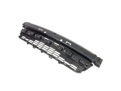 Ford FL1Z-17D635-AA Grille - Bumper