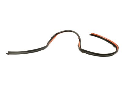 Lincoln DP5Z-5451884-C Front Weatherstrip