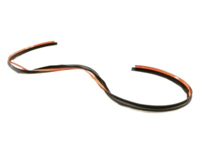 Lincoln DP5Z-5451884-C Front Weatherstrip