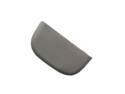 Lincoln DS7Z-4273-AB Sunvisor Cap