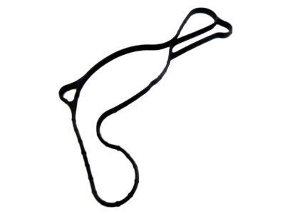 Ford DG1Z-8507-A Gasket - Water Pump