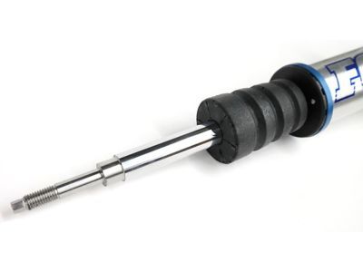 Ford BL3Z-18124-H Strut