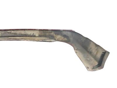 Ford DS7Z-17810-CAPTM Valance Panel