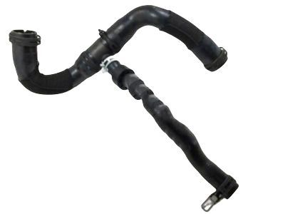 Ford 9T1Z-8286-C Lower Hose