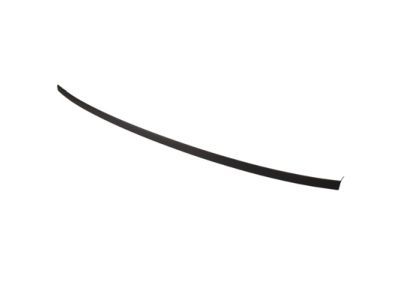 Ford CP9Z-5450463-A Roof Molding