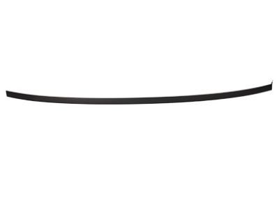 Ford CP9Z-5450463-A Roof Molding