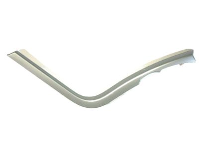 Ford DT4Z-78061A16-AA Trim Molding