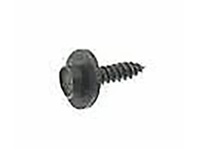 Ford -W700092-S450B Rear Molding Screw