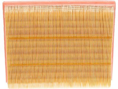 Ford DS7Z-9601-D Air Filter