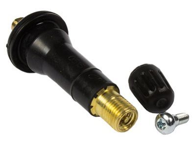 Ford F2GZ-1A163-A Valve Stem Cap