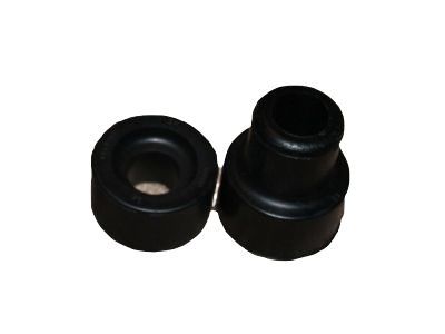 Ford C5TZ-3B203-E Radius Arm Bushing