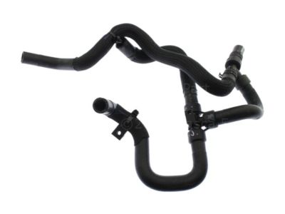 Ford DG9Z-8C289-L Hose Assembly