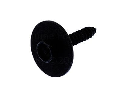 Lincoln -N808727-S307 Latch Screw