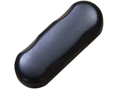 Ford 1L2Z-14711-AA Seat Switch Knob