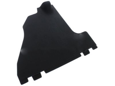 Lincoln 4L3Z-15023A98-AAA Panel Cover