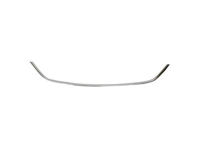 Lincoln DP5Z-8419-AA Lower Molding