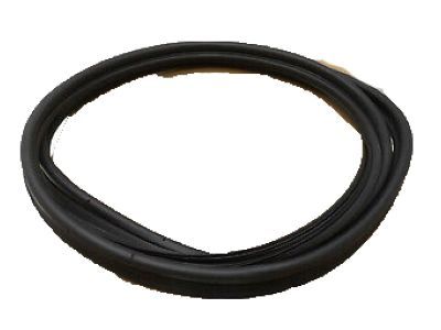 Lincoln AE5Z-5443720-A Weatherstrip