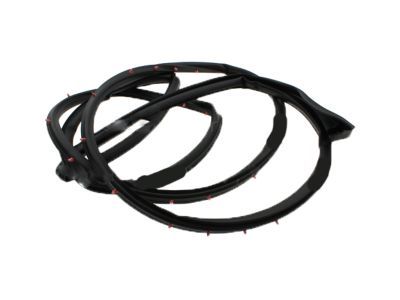 Ford 4C2Z-1520531-AA Door Weatherstrip