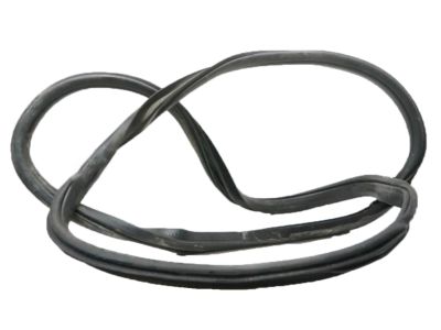 Ford F-250 Super Duty Door Seal - FL3Z-1520709-A