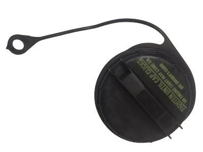 Ford YS4Z-9030-PA Cap