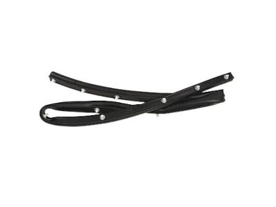 2014 Lincoln MKX Weather Strip - BT4Z-16A238-A