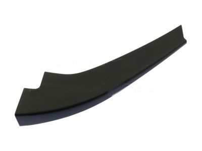 Ford FB5Z-7825504-AA Rear Molding