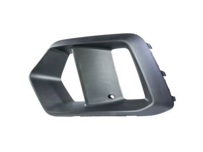 Ford G1EZ-15266-B Fog Lamp Bezel