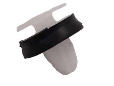 Ford -W716507-S300 Pillar Molding Clip