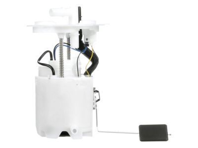 Lincoln Fuel Pump - DG1Z-9H307-P